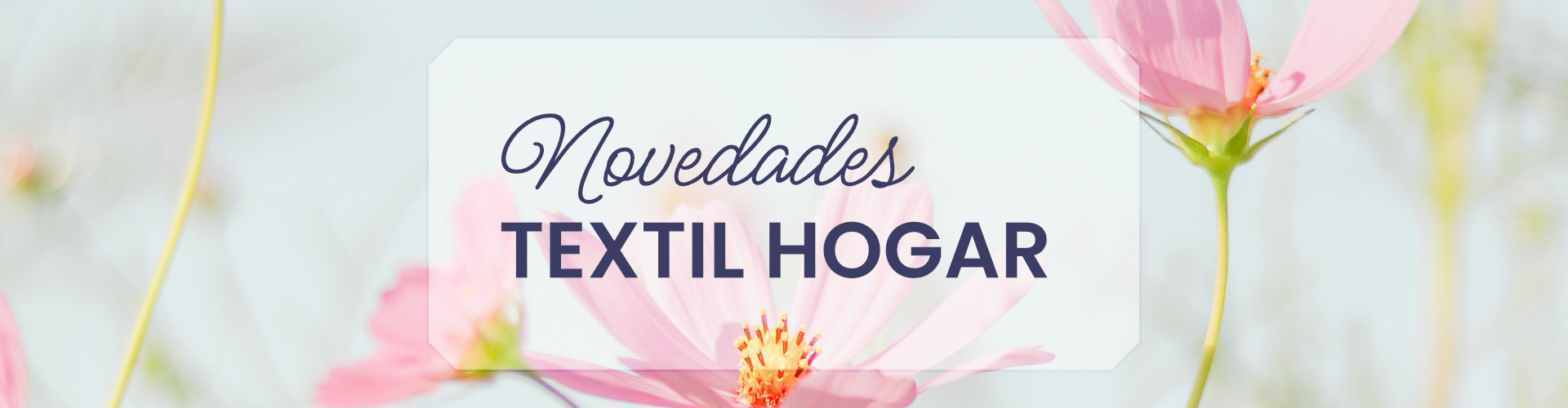 Seda-Banner-desktop-4